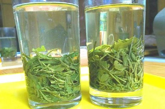 茶葉為什么不能亂送人，買茶葉一次送一盒還是兩盒