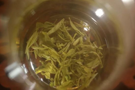 碧螺春正確泡法和飲用，碧螺春茶泡茶方法與溫度