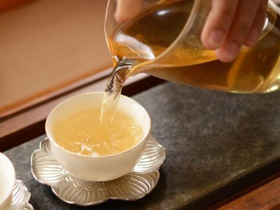 茶葉的專業(yè)知識，關于茶的基本知識大全