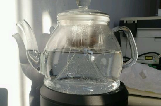 蒸茶和煮茶的區(qū)別，蒸茶和煮茶哪個好