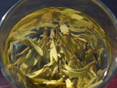 安吉白茶的功效與作用，簡單概括安吉白茶功效