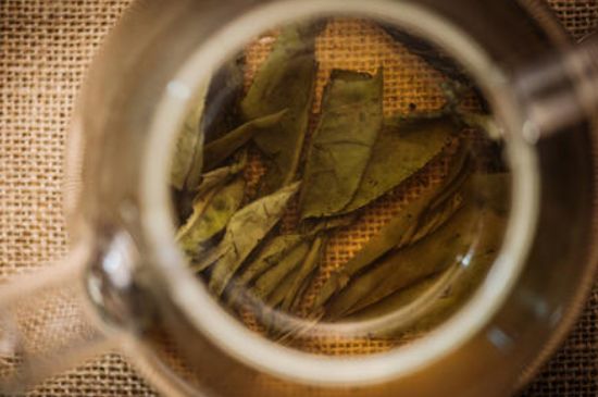 苦丁茶副作用，苦丁可以經(jīng)常喝嗎？