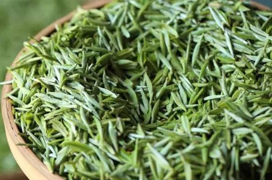 雀舌茶的沖泡方法，怎么沖泡雀舌茶？