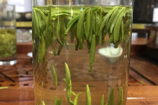 雀舌茶的副作用，雀舌茶什么人不能喝？