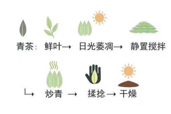茶葉名稱大全和圖片，茶葉名字大全三四個字！