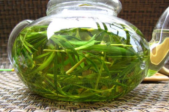 竹葉茶的禁忌，竹葉泡茶的功效禁忌
