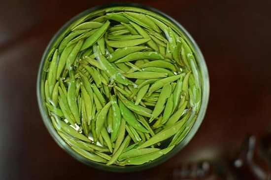 雀舌茶什么人不能喝，雀舌茶的功效與禁忌