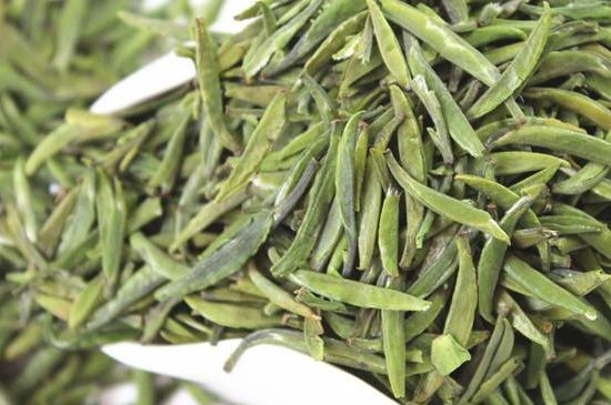 雀舌茶什么人不能喝，雀舌茶的功效與禁忌
