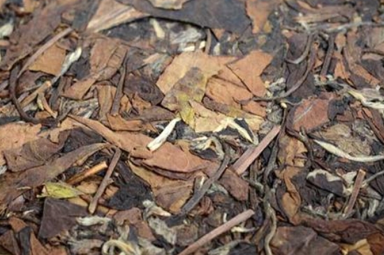 福鼎白茶能長時間悶泡嗎，老白茶可以悶著喝嗎？