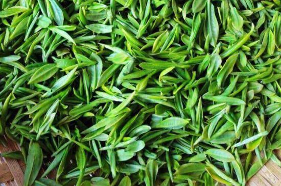 云霧綠茶的功效及禁忌，哪些人不適合喝云霧茶