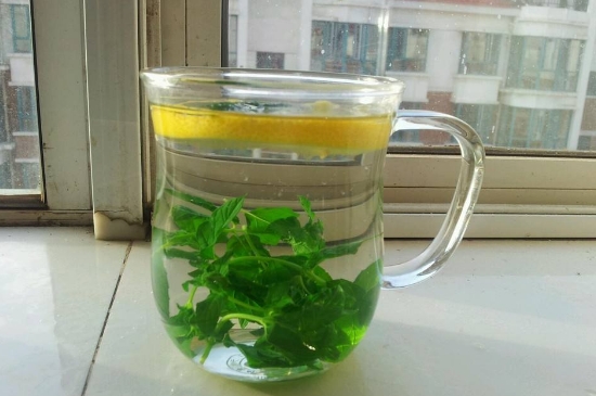 薄荷茶的功效與作用，喝薄荷茶有什么好處？