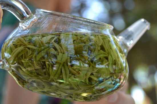 新手學(xué)泡茶的基本常識，從零開始學(xué)泡茶