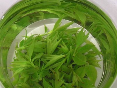 茶葉具有什么功效，茶葉的功效與作用大全
