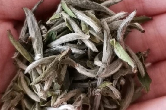 如何買茶葉不上當，怎么買茶葉不被坑？