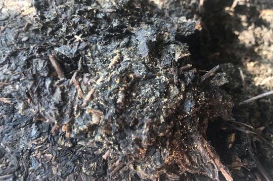 茯茶可以放在冰箱里存放嗎，茯磚茶如何儲(chǔ)存？