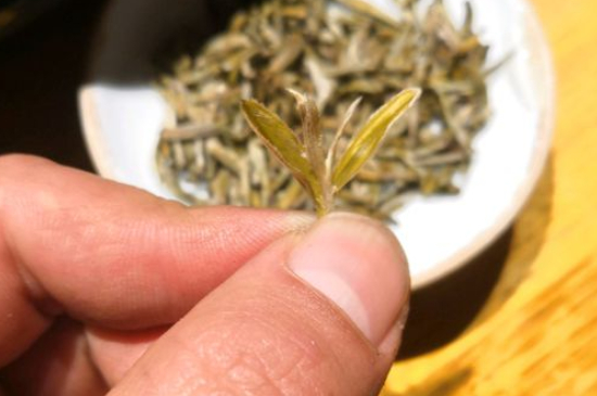 六大茶類哪種適合長(zhǎng)期存放，日常如何保存方法一覽？