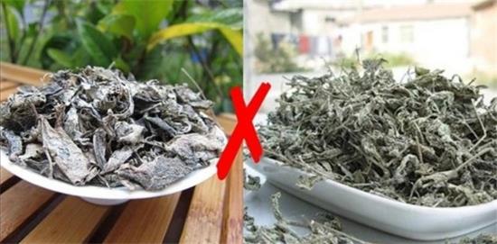 張家界茅巖莓茶與藤茶是同一種茶嗎，藤茶跟莓茶一不一樣？