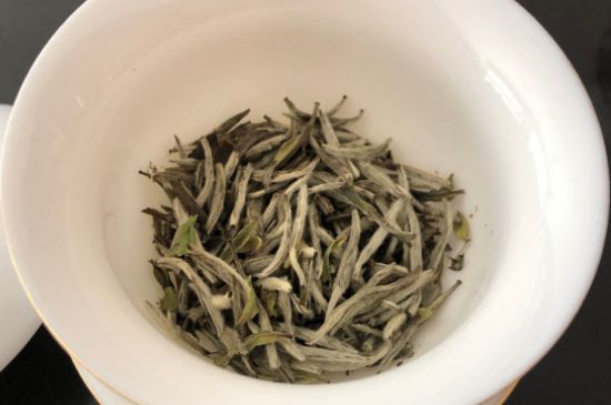 春茶上市白茶的好壞怎么區(qū)分，春白茶怎么分辨好不好？