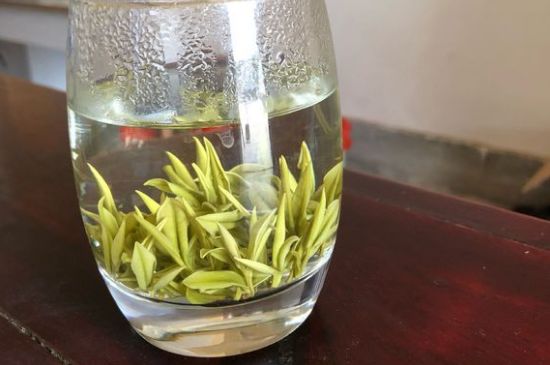 安吉白茶耐寒嗎，白茶適合放冰箱嗎