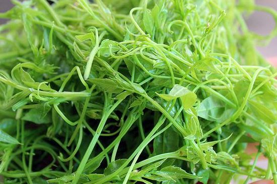 茅巖莓茶別名是什么，莓茶別名叫藤茶嗎？