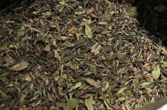 陳茶還是新茶好，茶葉是新茶好喝還是陳茶好喝