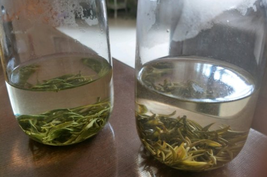 真假碧螺春泡水后區(qū)別，蘇州洞庭碧螺春怎樣鑒別好壞？