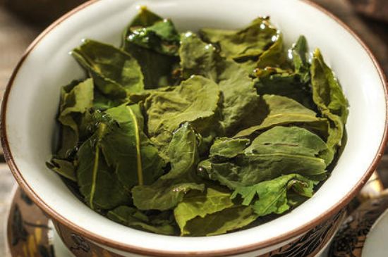 陳茶還是新茶好，茶葉是新茶好喝還是陳茶好喝