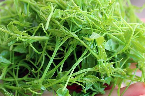 茅巖莓茶保質(zhì)期有多久，張家界莓茶存放時(shí)間長(zhǎng)了還能喝嗎？
