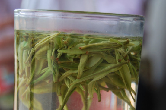 白茶的年份是怎么區(qū)分，如何辨別白茶年份