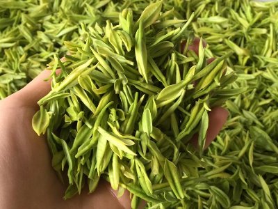 白茶品質如何區(qū)分，白茶的優(yōu)劣質量辨別方法