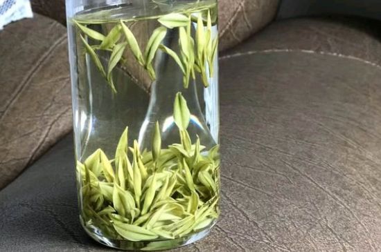 安吉白茶夏天怎么保存，安吉白茶能冷凍儲(chǔ)存嗎？