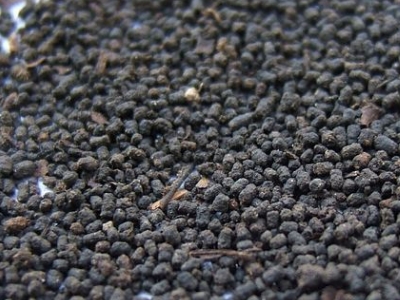 圓形顆粒狀茶是什么茶，像飼料一樣一粒粒的是什么茶？