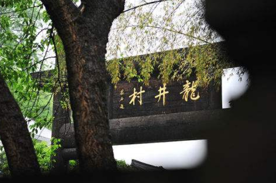 杭州買龍井茶攻略，怎么買到正宗的西湖龍井？