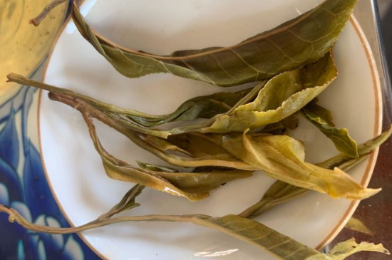 普洱茶十大學(xué)費(fèi)茶排名，吉普H是學(xué)費(fèi)茶？