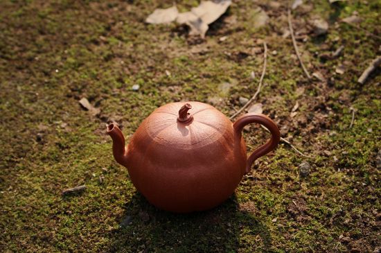 紫砂壺泡什么茶最佳，紫砂壺一般泡什么茶？