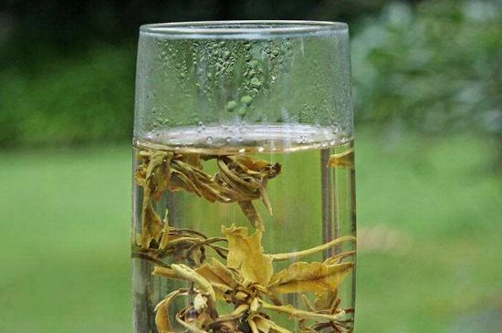 茉莉龍珠什么人不能喝，茉莉龍珠茶什么體質不能喝？