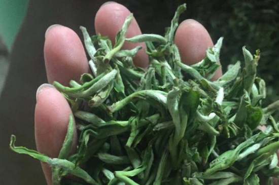 茉莉茶如何制作曬干，自制茉莉茶的做法