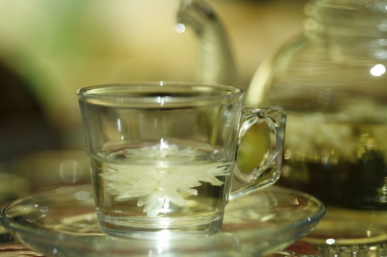 菊花茶天天喝行嗎，每天喝菊花泡茶喝好嗎？