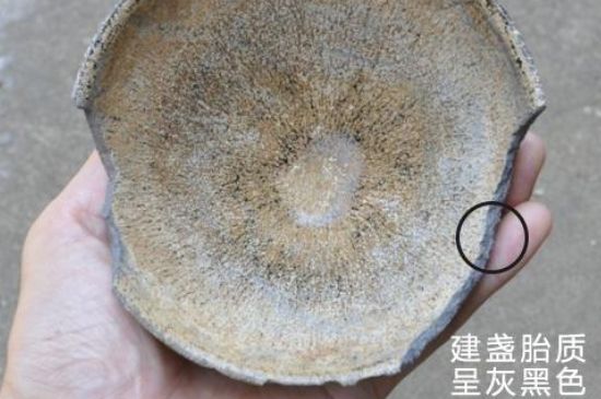 假建盞的特點(diǎn)，真假建盞區(qū)分帶圖