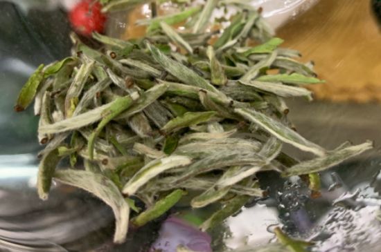 蒸汽煮茶器適合什么茶，蒸汽煮茶器適合用綠茶嗎？