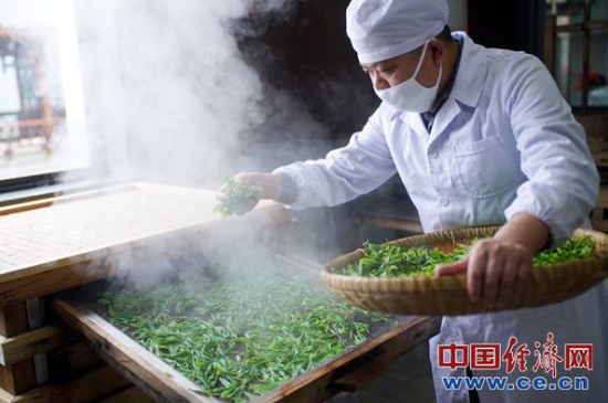 炒青綠茶與綠茶的區(qū)別，烘青和炒青哪個(gè)好喝？