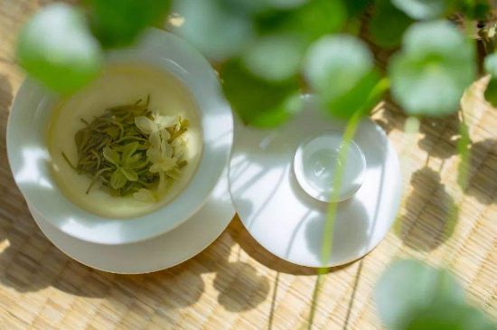 茉莉花茶6種人不要喝，什么體質(zhì)不適合喝茉莉花茶？