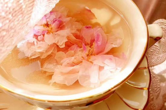 玫瑰花茶一周喝幾次，玫瑰花茶可以天天喝嗎？