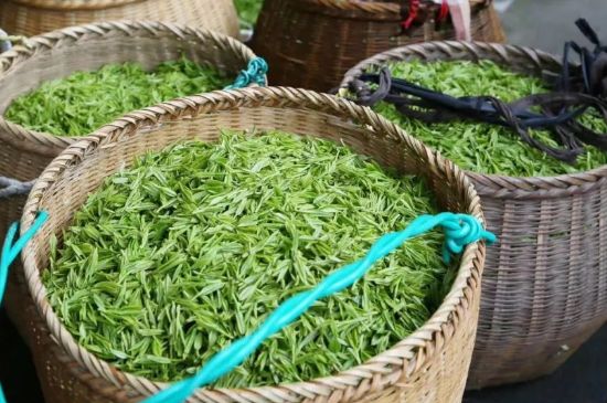 茶葉怎么炒制才香，怎樣炒茶葉更香？