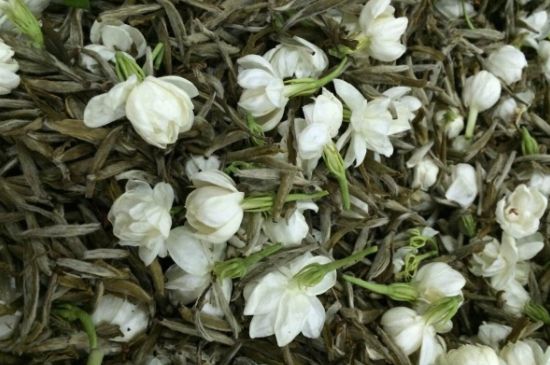 茉莉銀針口感，茉莉銀針是什么味道？