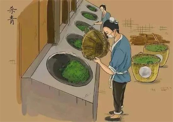 制茶八步驟，制茶工藝流程圖