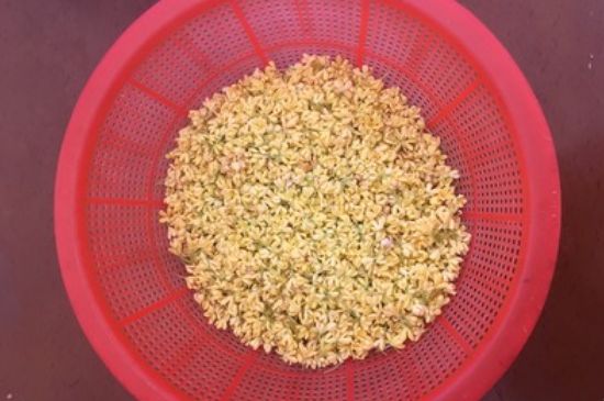干桂花茶的制作方法，怎樣自制桂花茶？