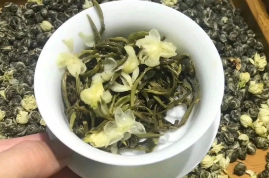 茉莉香珠跟龍珠有什么區(qū)別嗎，茉莉龍珠和茉莉香珠那個好？