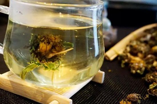 蒲公英最佳搭配，蒲公英茶和什么搭配泡水最佳