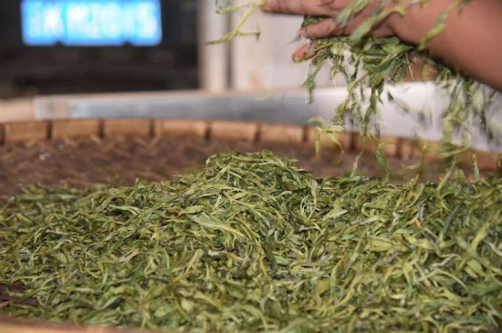 炒青綠茶與綠茶的區(qū)別，烘青和炒青哪個(gè)好喝？